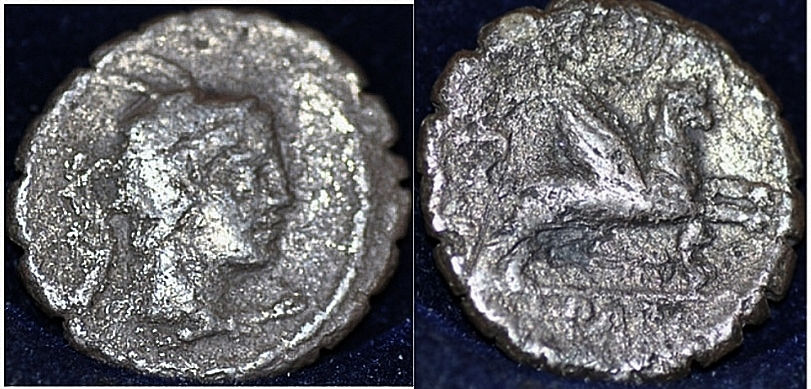 PAPIA 1