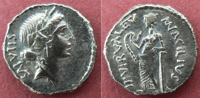 ACILIA 8