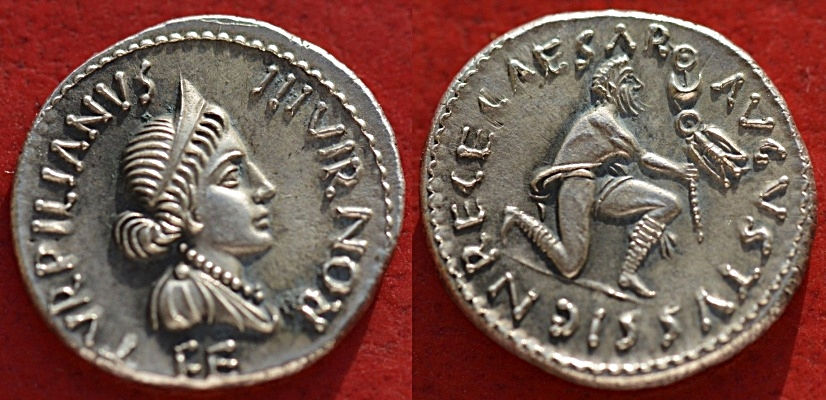 JULIA 215 PETRONIA 9
