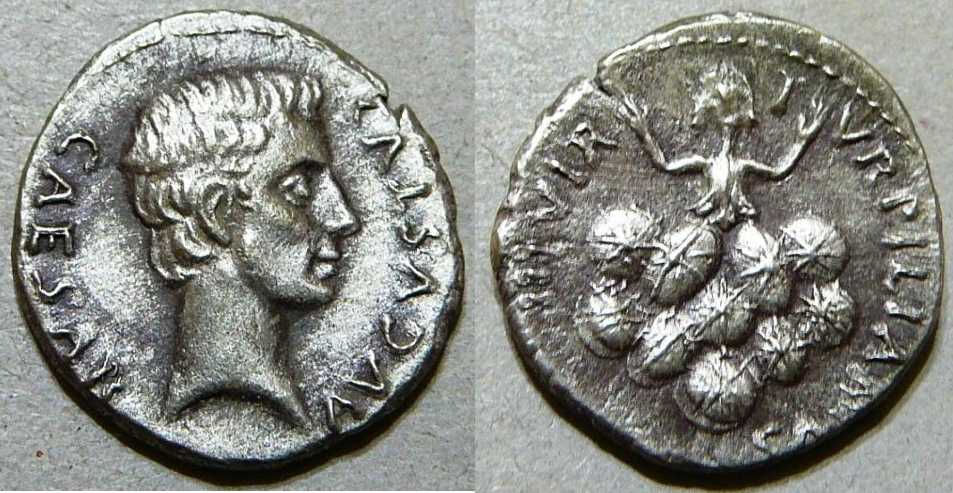 JULIA 225 PETRONIA 19