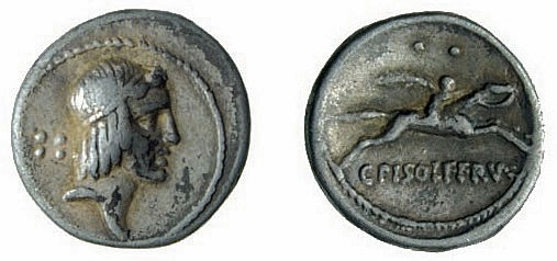 CALPURNIA 24