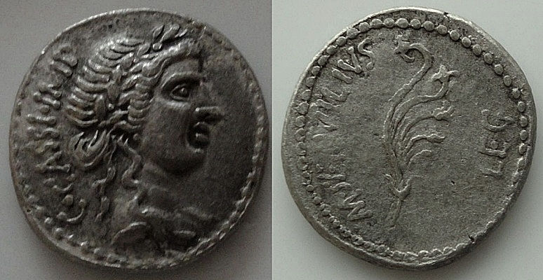 CASSIA 21, SERVILIA 42 y CASSIUS 9