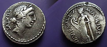ACILIA 8