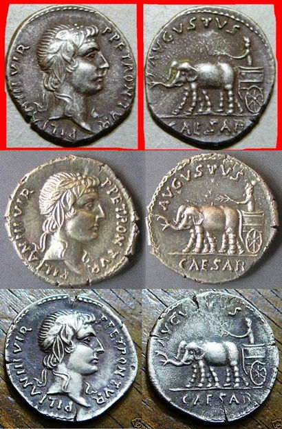 JULIA 210 PETRONIA 4