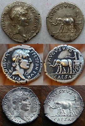 JULIA 210 PETRONIA 4