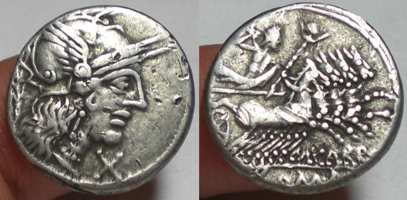 PAPIRIA 6