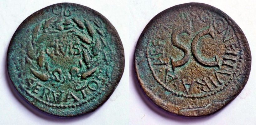 JULIA 296 CALPURNIA 38