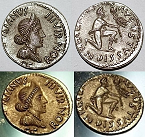 JULIA 215 PETRONIA 9