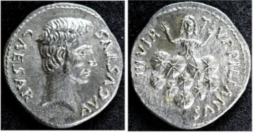 JULIA 225 PETRONIA 19