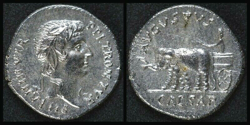 JULIA 210 PETRONIA 4