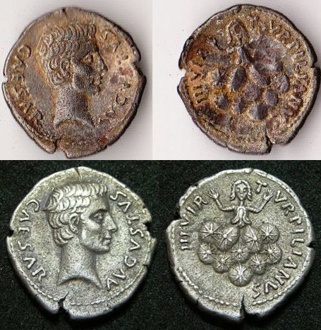 JULIA 225 PETRONIA 19