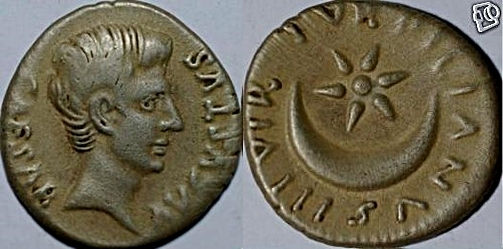 JULIA 226 PETRONIA 20