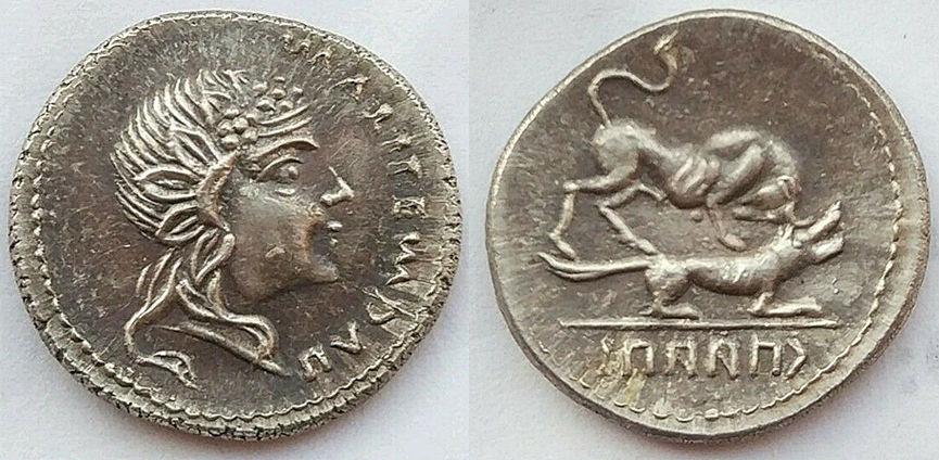 PAPIA 3