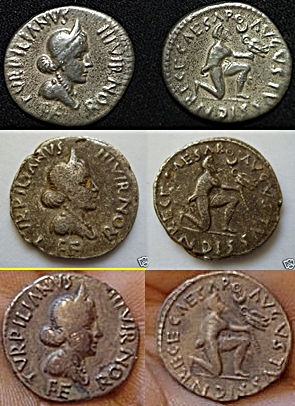 JULIA 215 PETRONIA 9