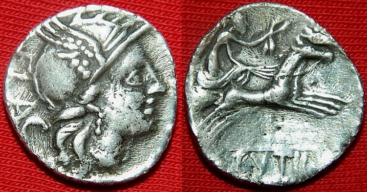 RUTILIA 1