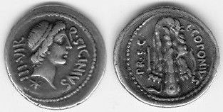 COPONIA 1