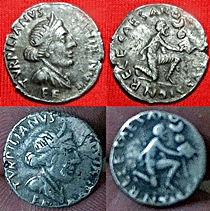 JULIA 215 PETRONIA 9