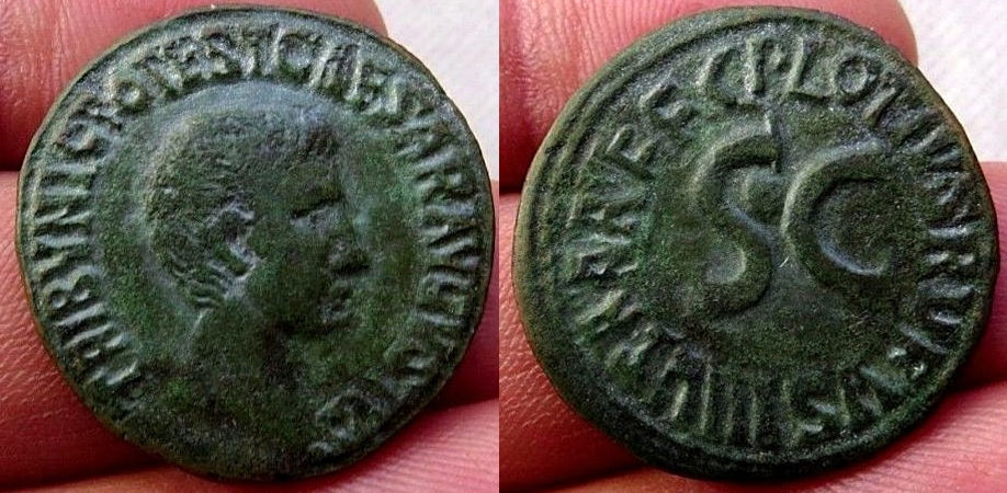 JULIA 306 PLAUTIA 22