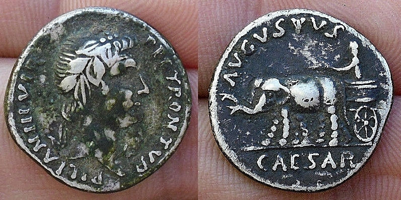JULIA 210 PETRONIA 4