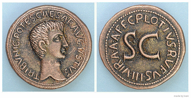 JULIA 305 PLAUTIA 21