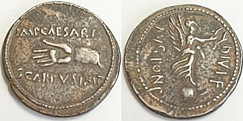 JULIA142 PINARIA 12