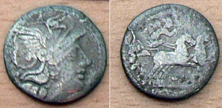 PINARIA 2