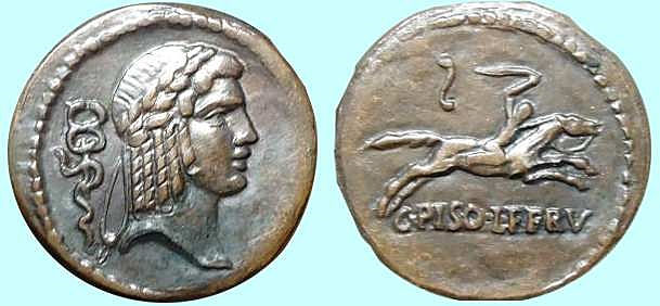 CALPURNIA 24