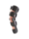 hinged-knee.jpg