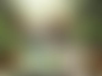 How to Create Eco-Friendly Cleaning Recipes to Maintain a Clean and Healthy Environment for Your AirBnB Guests