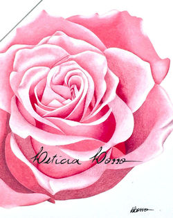 Rosas 5