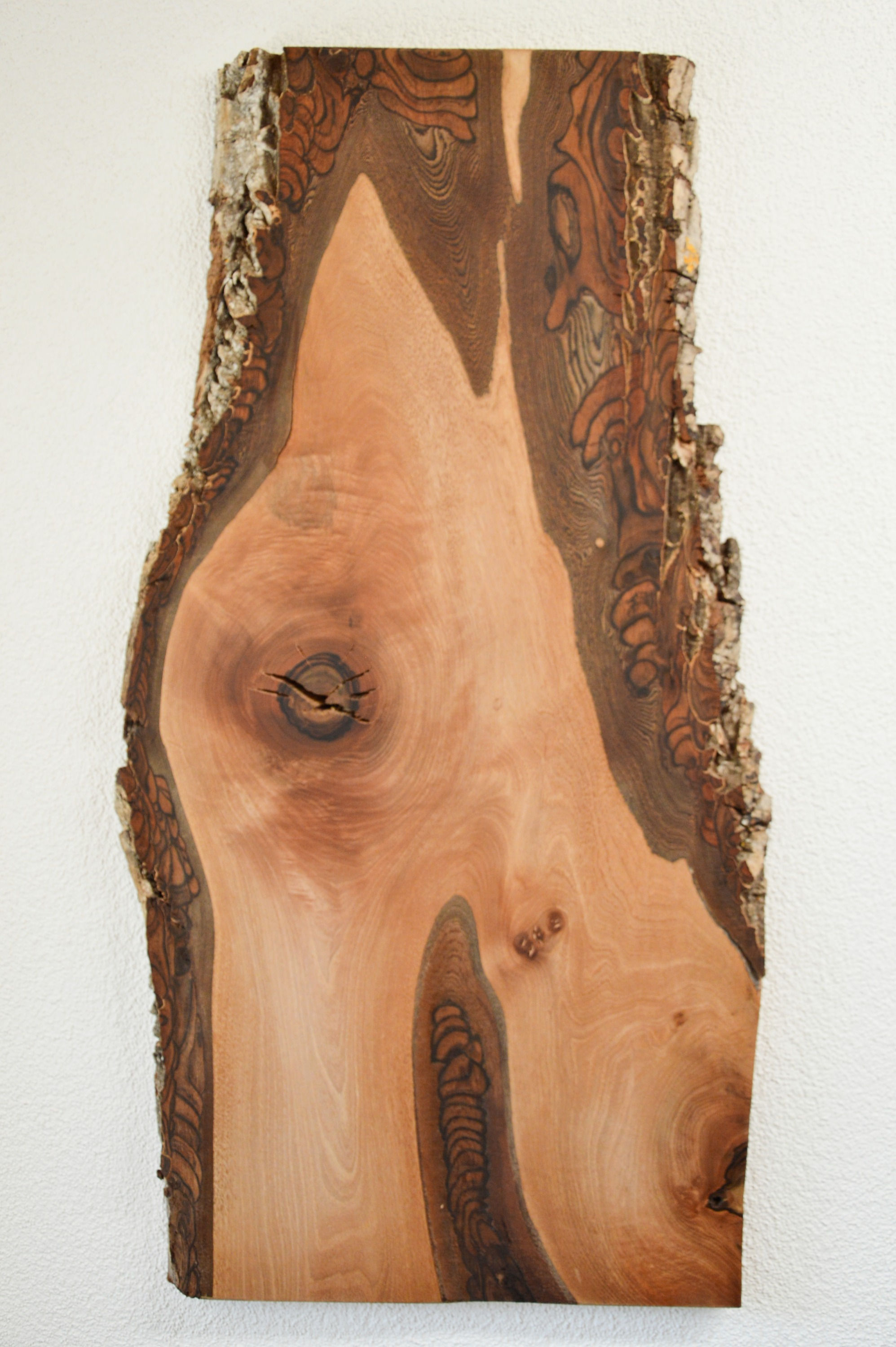 Wandbild Nussbaum