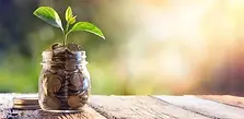 plant-coins-gettyimages-505872010.webp