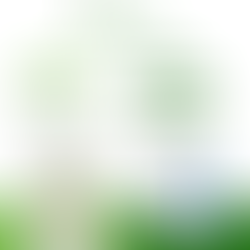 Bolsa de plástico con logo y caracteristicas