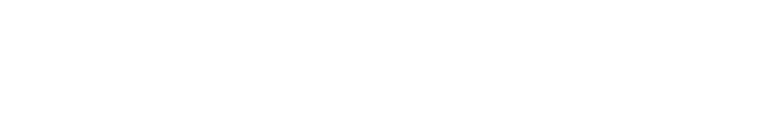 DSI LOGO WHITE copy.png