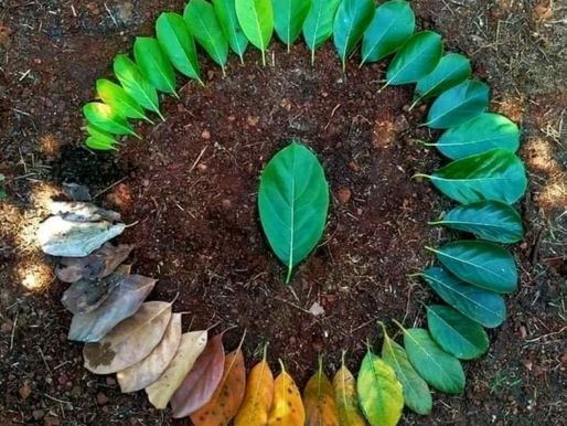 The Decomposition of School and Regeneration of Learning