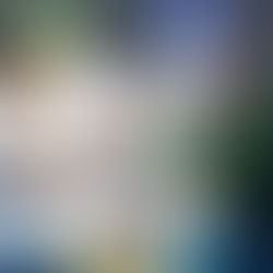 Marcos Rogério lança pré-candidatura ao governo de RO