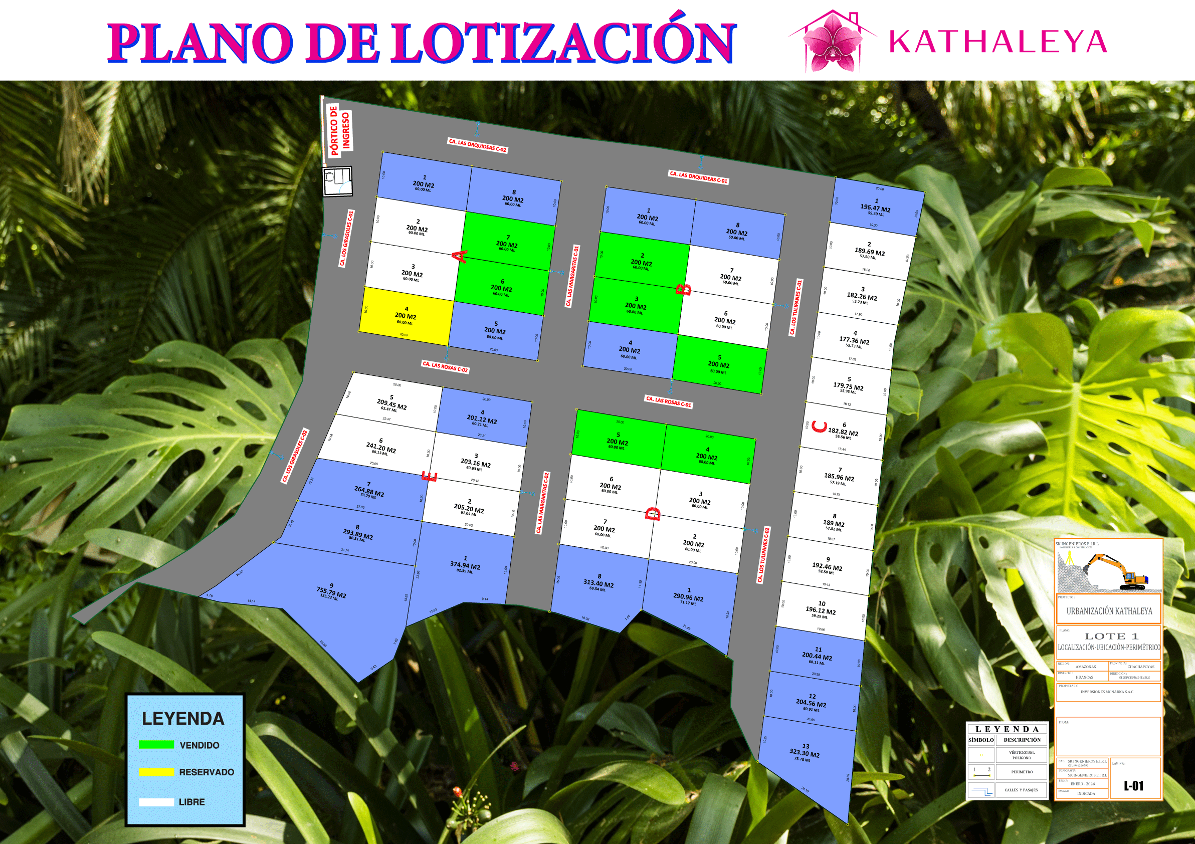 PLANO-KATHALEYA-2026.gif