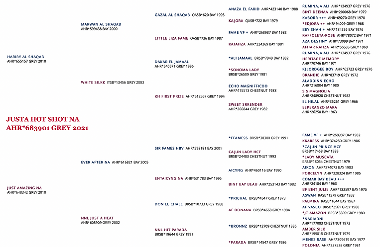 Screen Shot 2025-06-13 at 7.44.52 PM.png