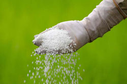 fertilizante-granulado