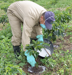 Plan_emergencia_ola_invernal