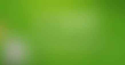 Shopify Developer for Mobile-Responsive Store Design