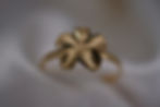 Thumbnail: 14k yellow gold plomera flower ring