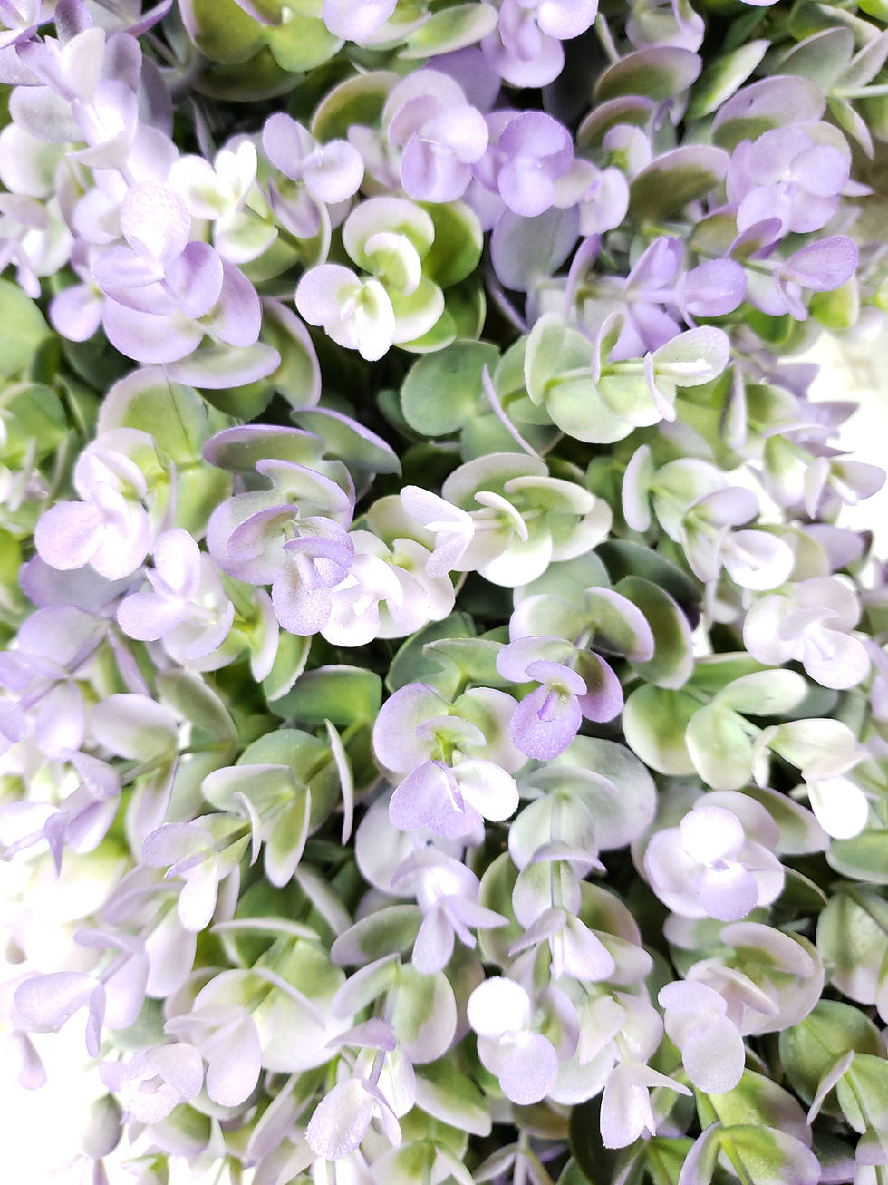 Thumbnail: Lavender Boxwood  Wreath