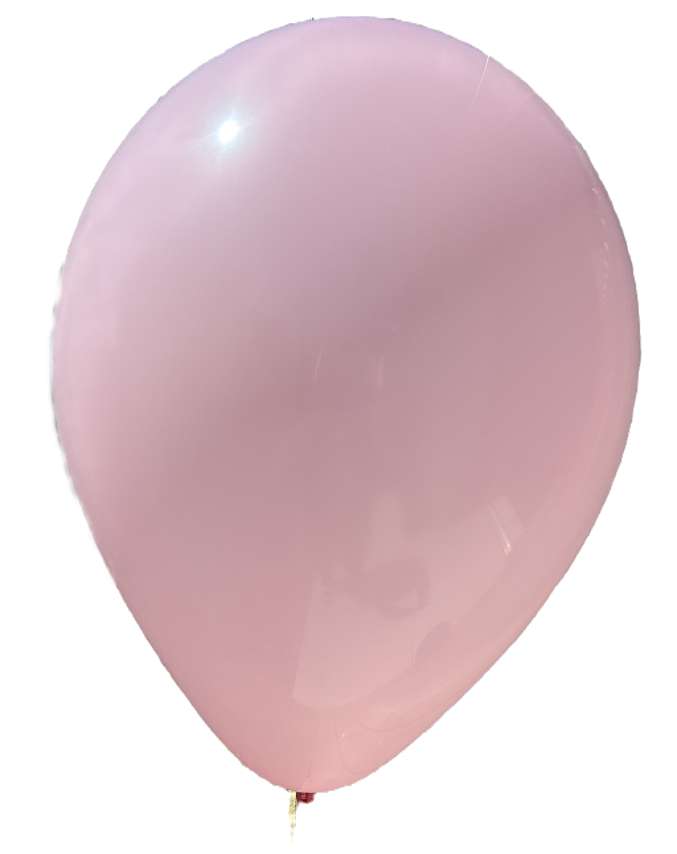 ROSE PETAL