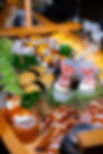 image00013.jpeg