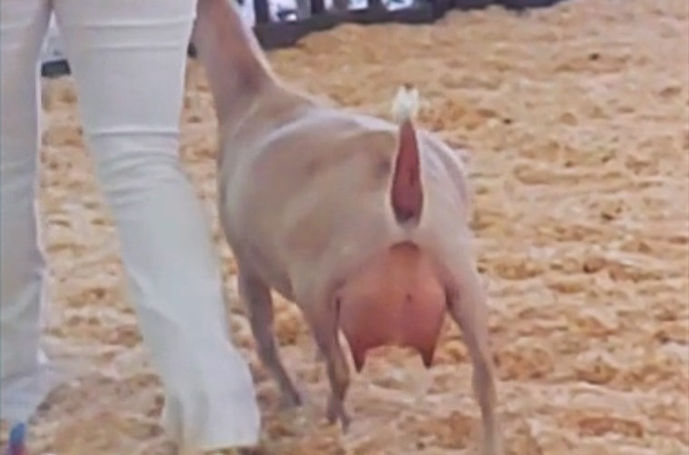 Screenshot_20221101-102358 (2).png