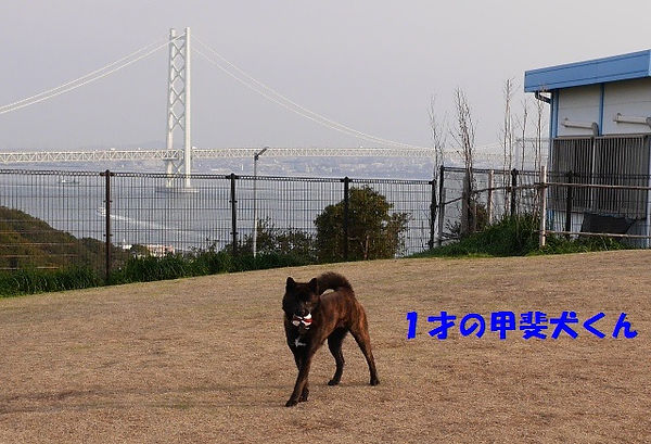 P1040349.JPG