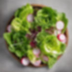 Lettuce (Romaine, Butterhead, Oak Leaf)_•_Basil_•_Arugula_•_Microgreens (Island Mix & Radi