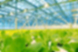 Indoor-Vertical-Farming-Industrial-Real-Estate-864x576.jpeg