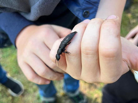 Projektstart in Brandenburg